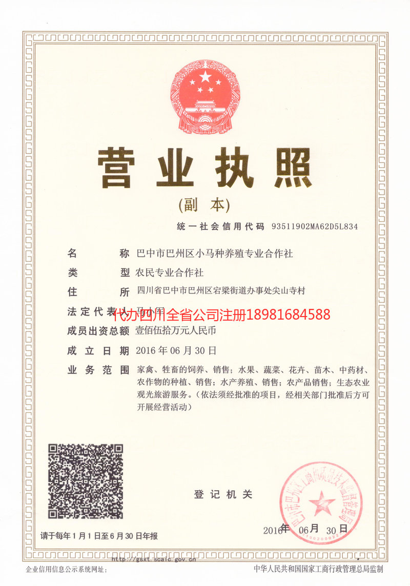 安达安达小马种养殖专业合作社